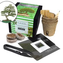 Load image into Gallery viewer, Bonsai Tree Growing Kit
