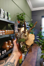 Load image into Gallery viewer, Mounted Deer Skull Display
