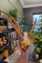 Load image into Gallery viewer, Mounted Deer Skull Display
