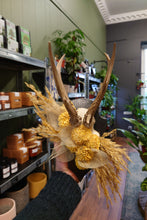 Load image into Gallery viewer, Mounted Deer Skull Display
