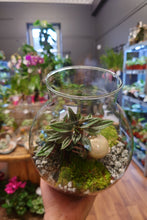 Load image into Gallery viewer, Christmas Ball Terrarium
