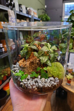 Load image into Gallery viewer, Cylinder Terrariums
