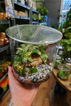 Load image into Gallery viewer, Cylinder Terrariums
