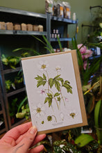Load image into Gallery viewer, Catherine Lewis Gift Cards
