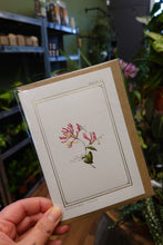 Load image into Gallery viewer, Catherine Lewis Gift Cards
