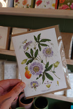 Load image into Gallery viewer, Catherine Lewis Gift Cards
