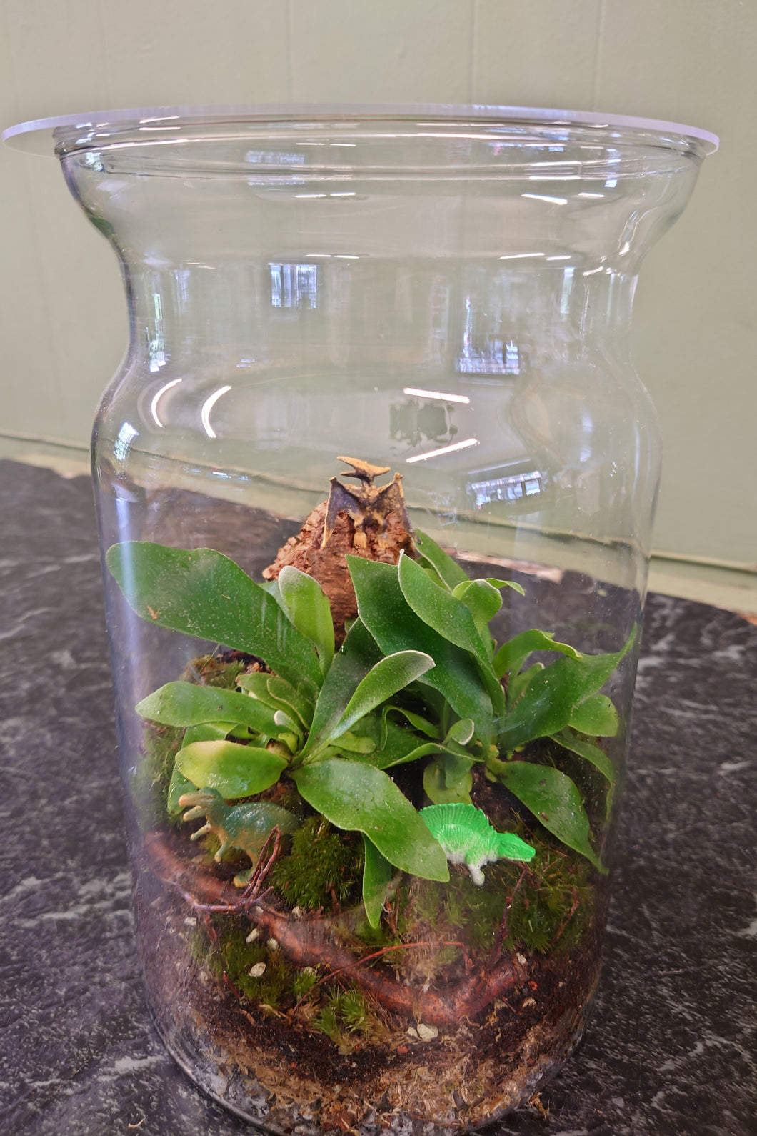 Terrarium #6