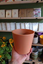 Load image into Gallery viewer, Phil Pot 12.5cm
