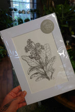 Load image into Gallery viewer, Jane Gray Design Prints
