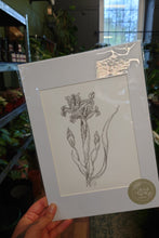 Load image into Gallery viewer, Jane Gray Design Prints
