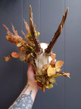 Load image into Gallery viewer, Mounted Deer Skull Display
