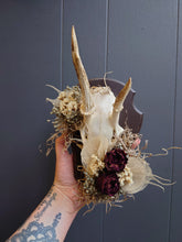 Load image into Gallery viewer, Mounted Deer Skull Display
