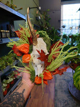 Load image into Gallery viewer, Mounted Deer Skull Display
