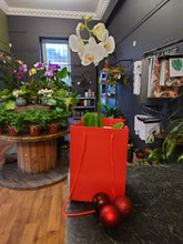 Load image into Gallery viewer, Gift Bags
