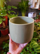 Load image into Gallery viewer, Berlin pot various
