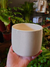 Load image into Gallery viewer, Berlin pot various
