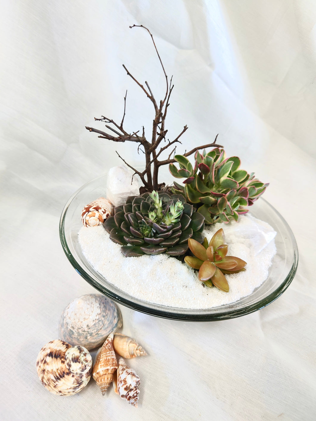 Succulent Terrarium #2