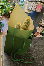 Load image into Gallery viewer, Gift Bags
