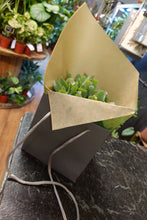Load image into Gallery viewer, Gift Bags
