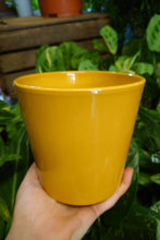 Load image into Gallery viewer, Phil Pot 12.5cm
