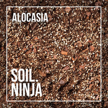 Load image into Gallery viewer, Soil.Ninja
