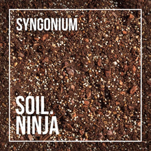 Load image into Gallery viewer, Soil.Ninja
