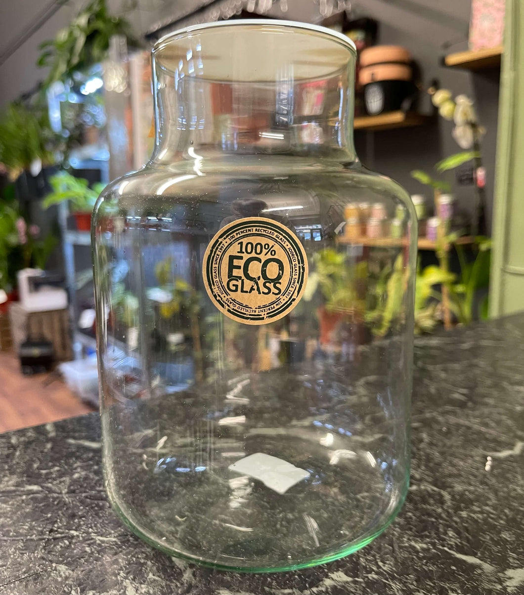 Terrarium Jar with Lid