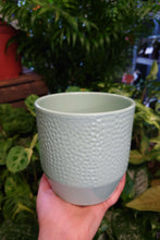 Load image into Gallery viewer, Tirza Pot
