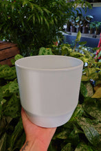 Load image into Gallery viewer, Tirza Pot
