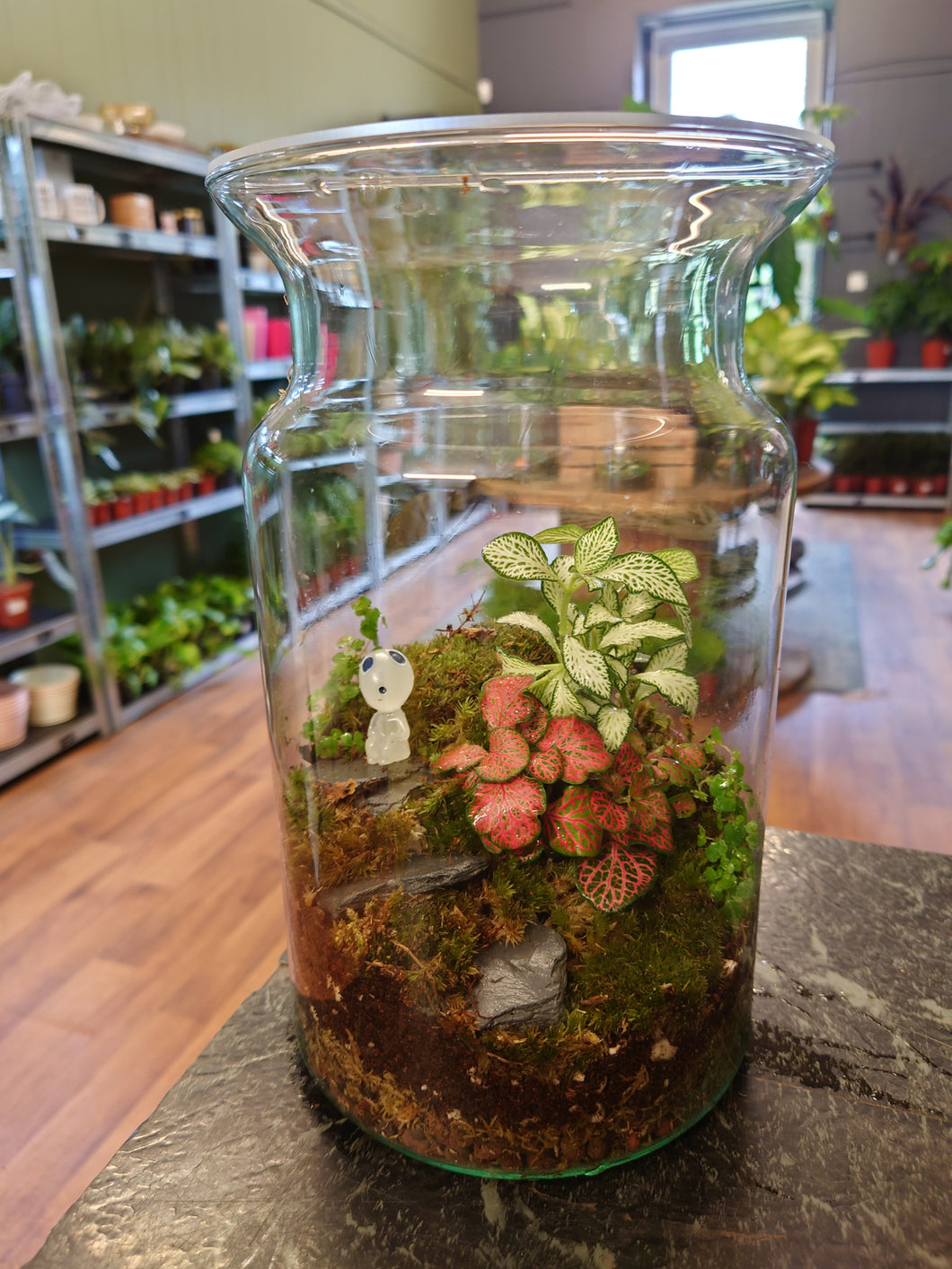Terrarium #8