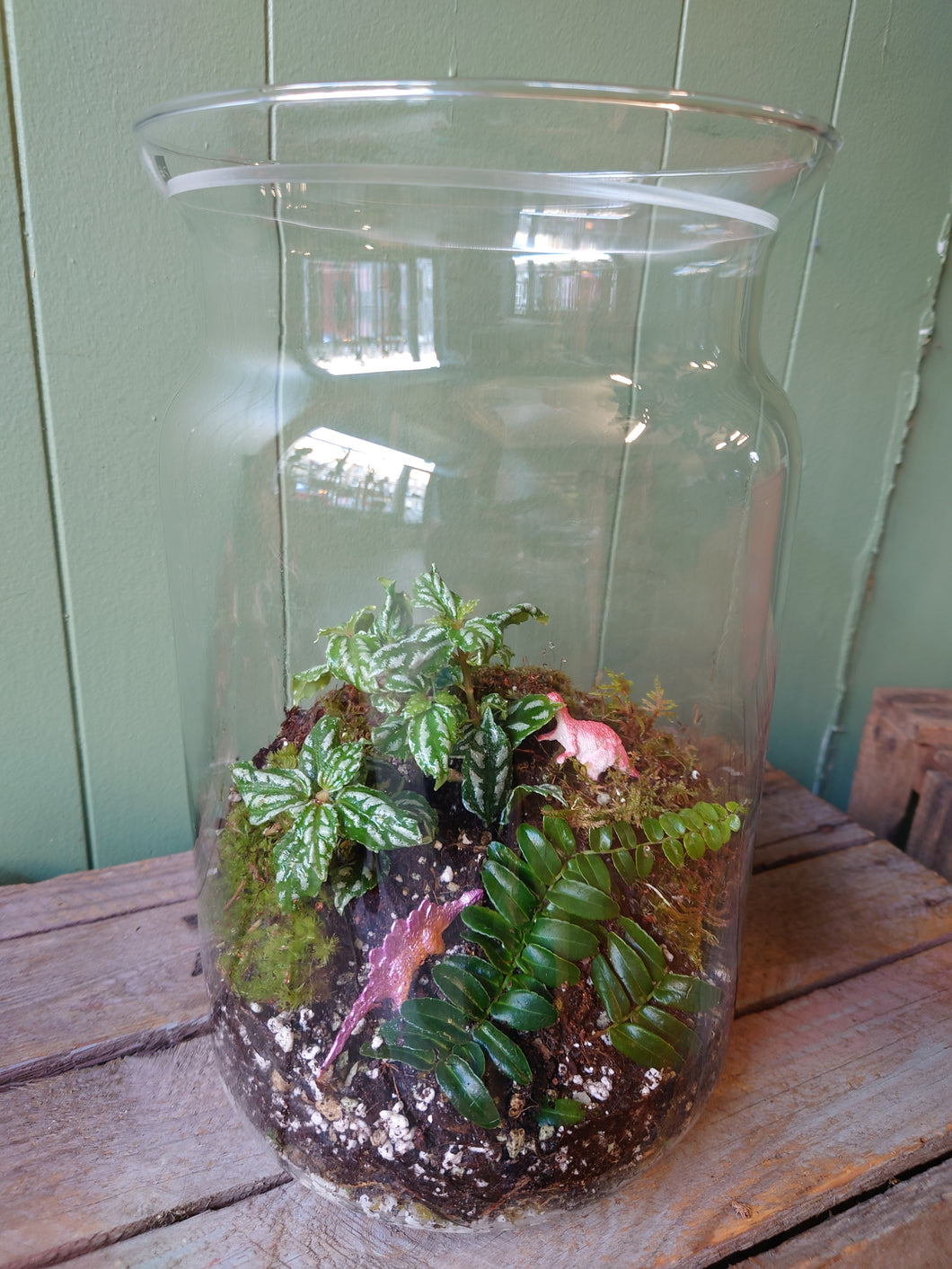 terrarium #5