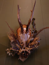 Load image into Gallery viewer, Mounted Deer Skull Display
