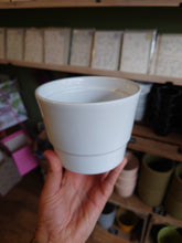 Load image into Gallery viewer, Basic Ceramic Pots
