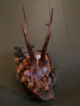 Load image into Gallery viewer, Mounted Deer Skull Display
