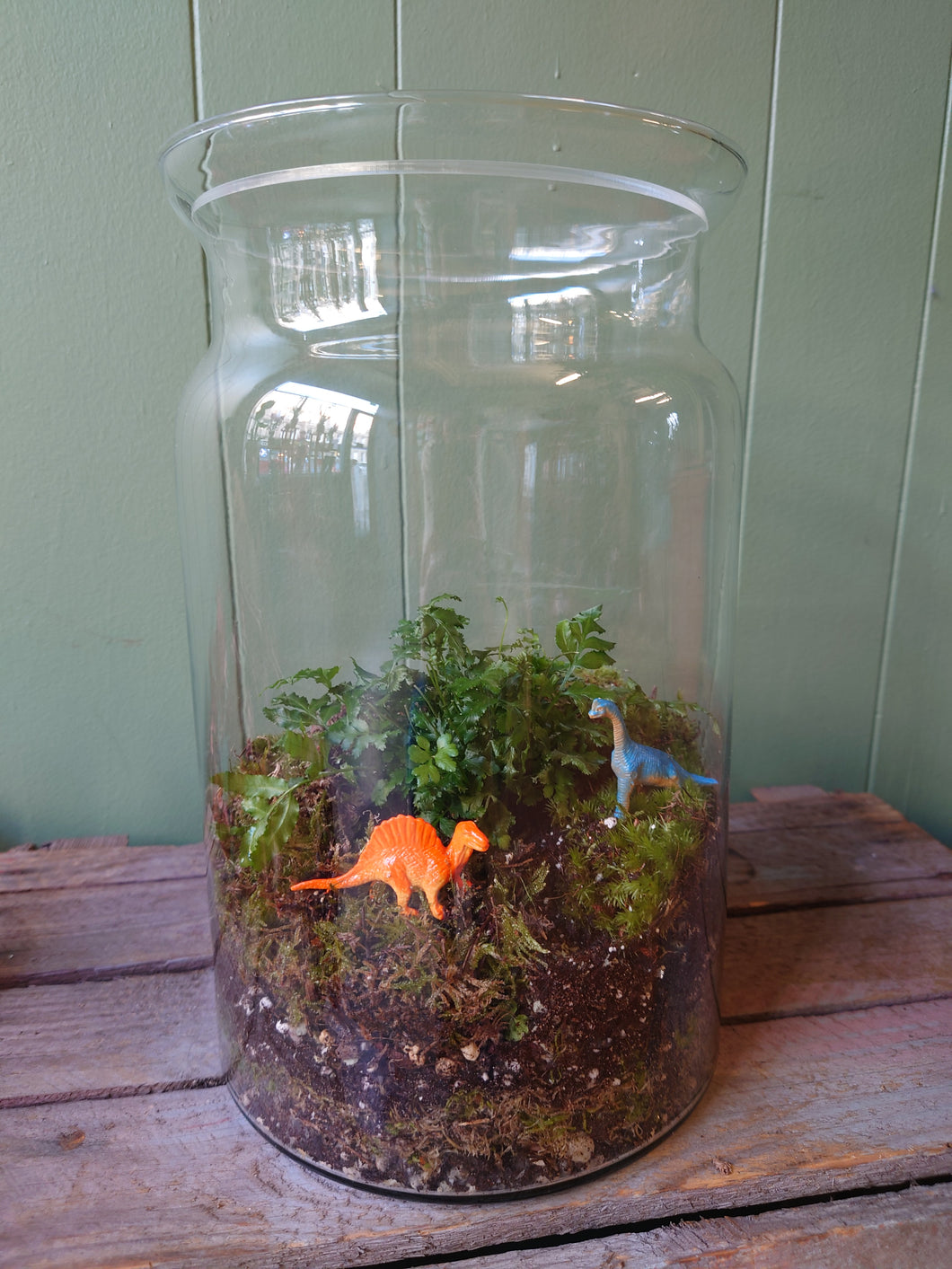 Terrarium #1