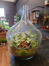 Load image into Gallery viewer, Large Bottle Terrarium
