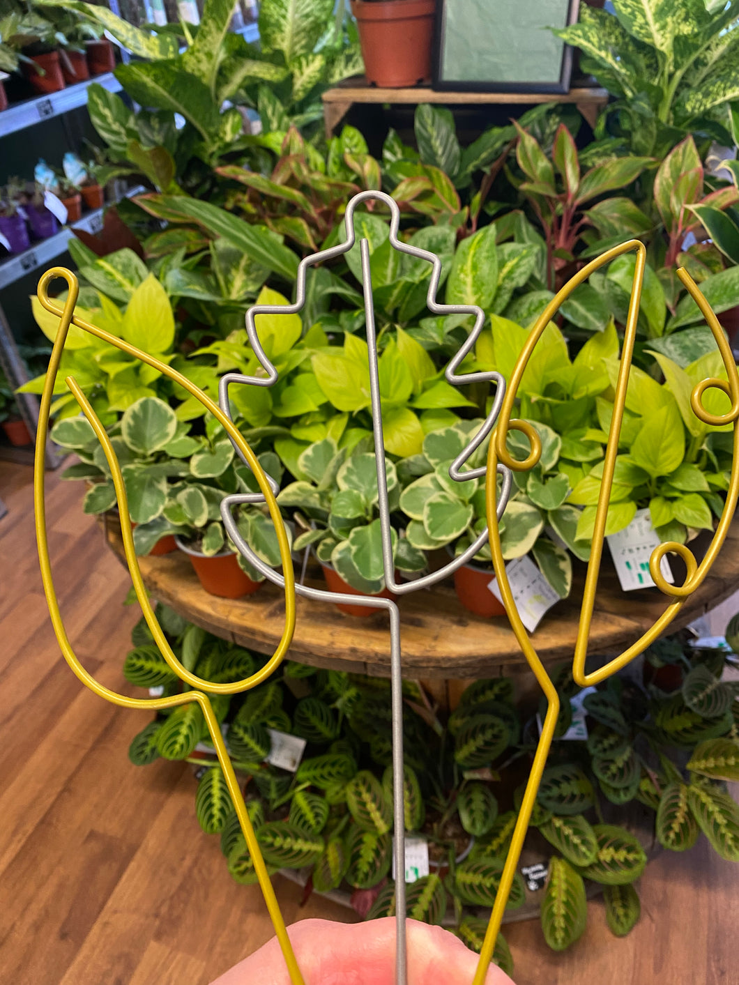 Leaf Plant Support