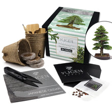 Load image into Gallery viewer, Bonsai Tree Growing Kit
