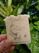 Load image into Gallery viewer, Castaway Soaps
