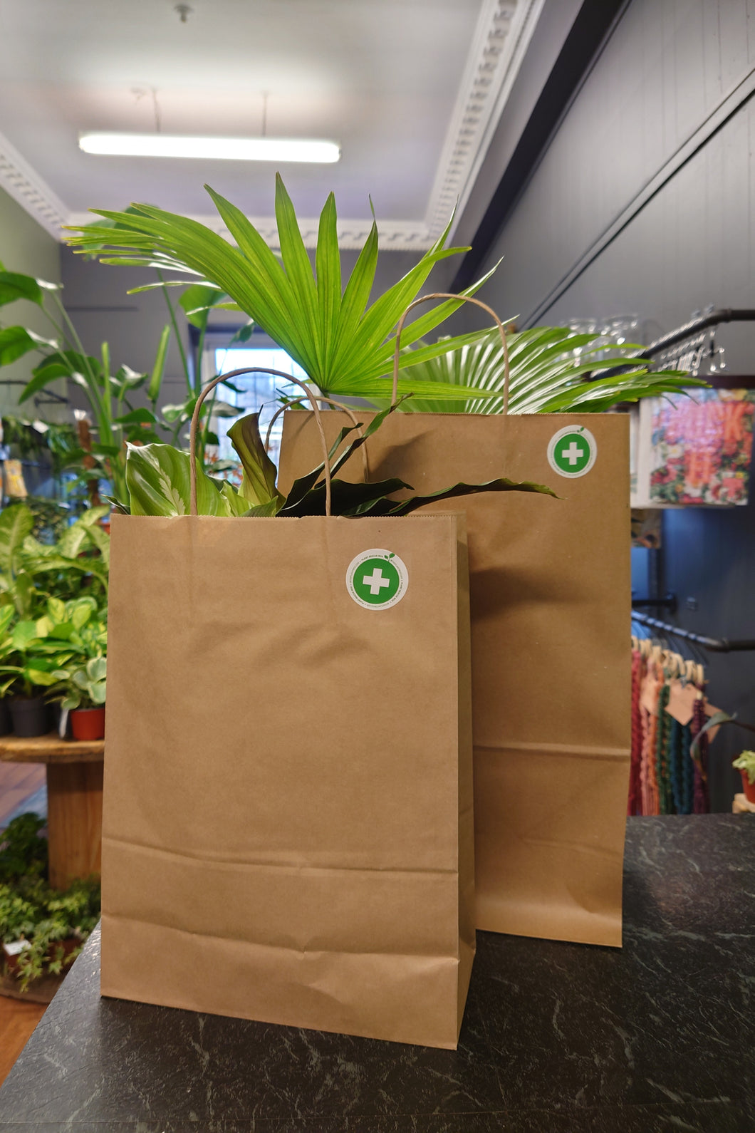 Plant Rescue Bags
