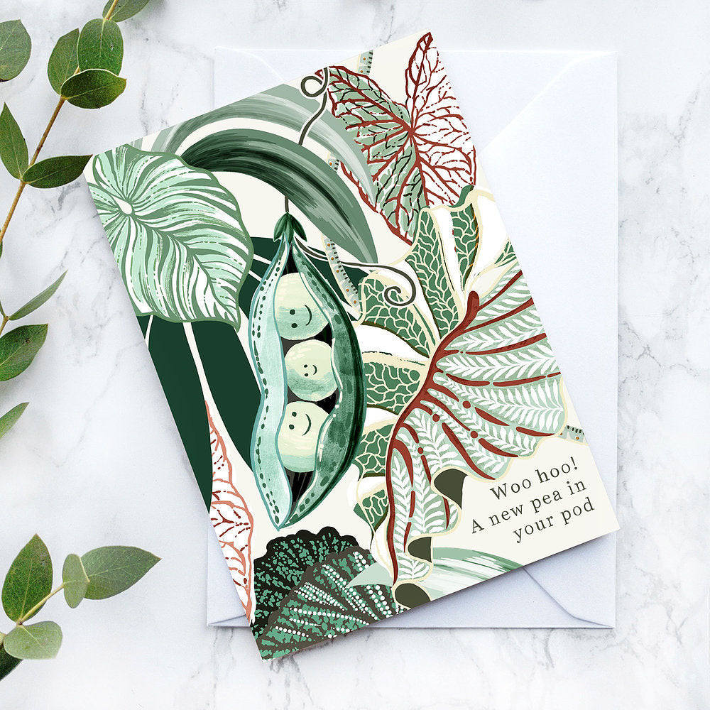 Linsey Kelly Cards