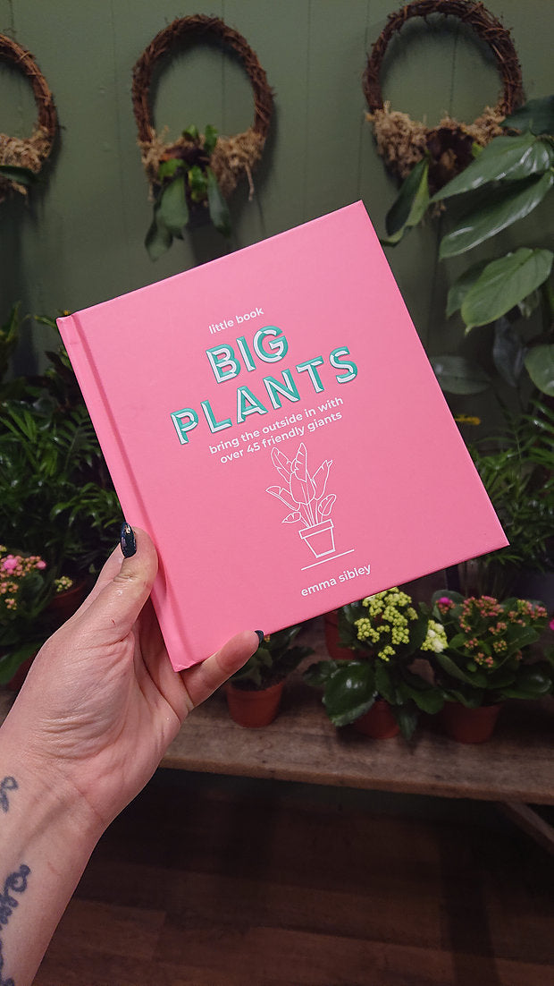 Little Book Big Plants