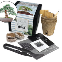 Load image into Gallery viewer, Bonsai Tree Growing Kit

