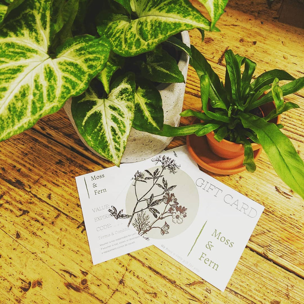 Moss & Fern Gift Card