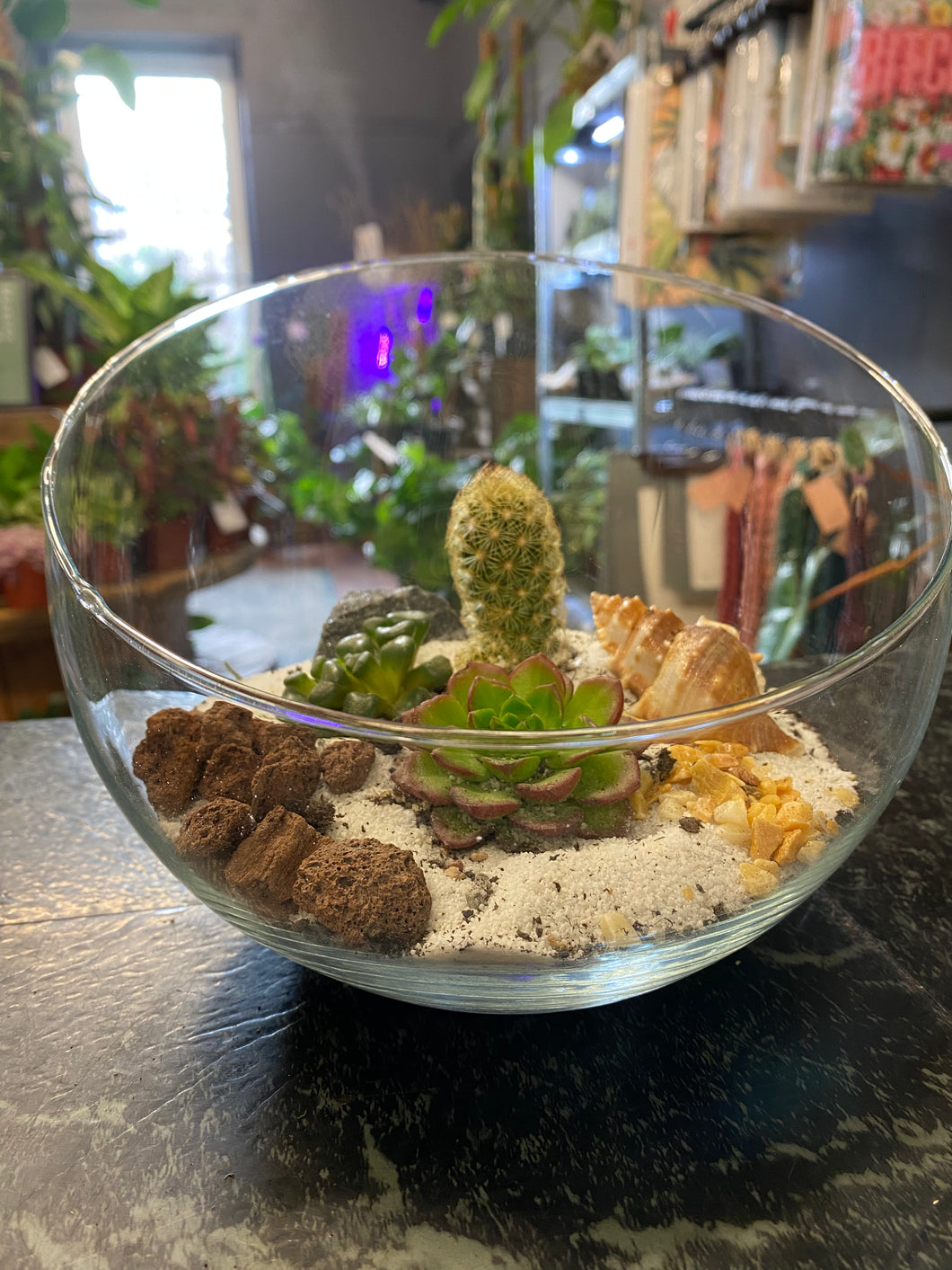 Succulent Terrarium #4