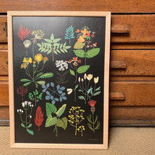 Load image into Gallery viewer, Brie Harrison Prints

